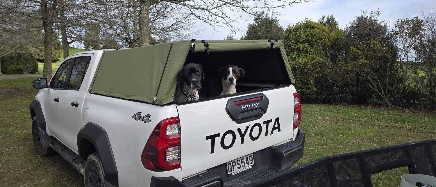 Two dogs in the back of a Canvasland canvas ute canopy