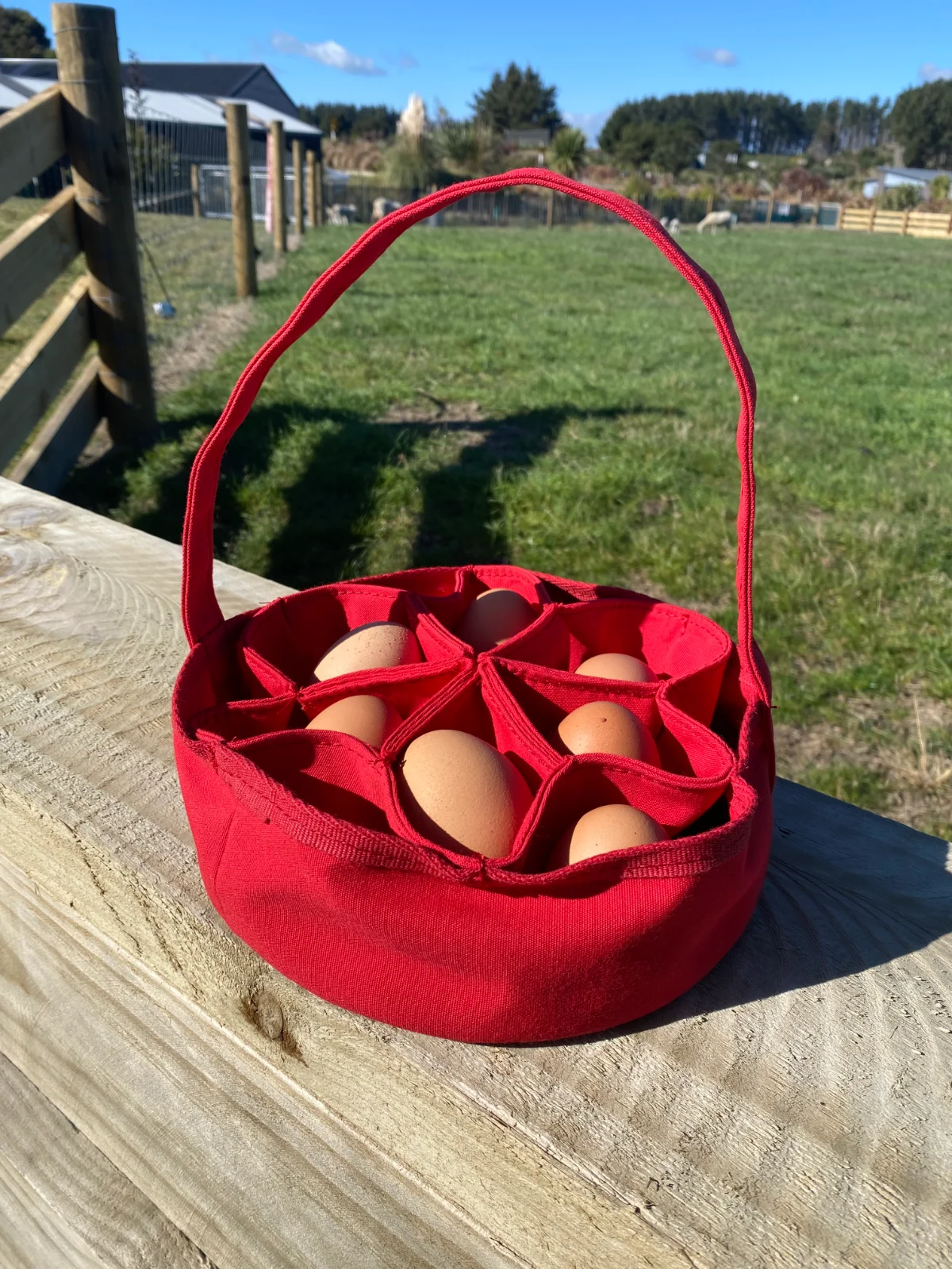 Red canvas egg carrier holding a dozen eggs, sitting on a fence rail